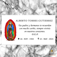 Placa para urna a color